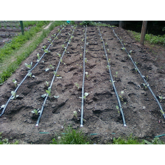 Hirro Tape 10 - Ф16- 150mic(6mil) - 30cм -3,5L/h 2