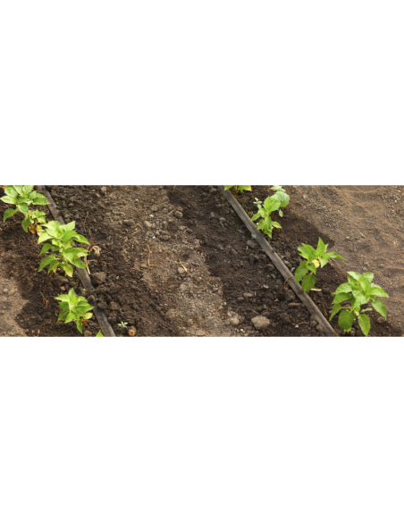 Hirro 16 - Ф16 - 150mic(6mil) - 30см - 5L/h